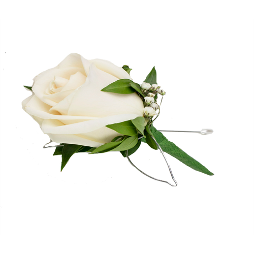 Rose Boutonniere